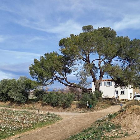 Villa Domaine Saint Augustin Rieux-Minervois Exterior foto