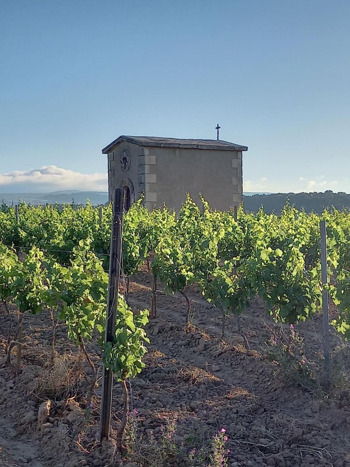 Villa Domaine Saint Augustin Rieux-Minervois Exterior foto